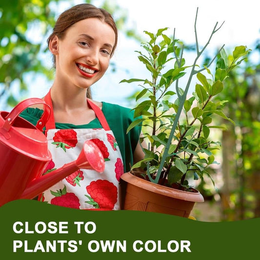 đđżGrön vĂ€xtstĂ€llning för trĂ€dgĂ„rden â hĂ„ller dina vĂ€xter uppe utan att stjĂ€la fokus.