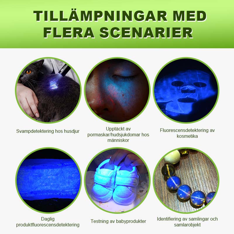 đĄUV-Ljusdetekterande Ficklampađ