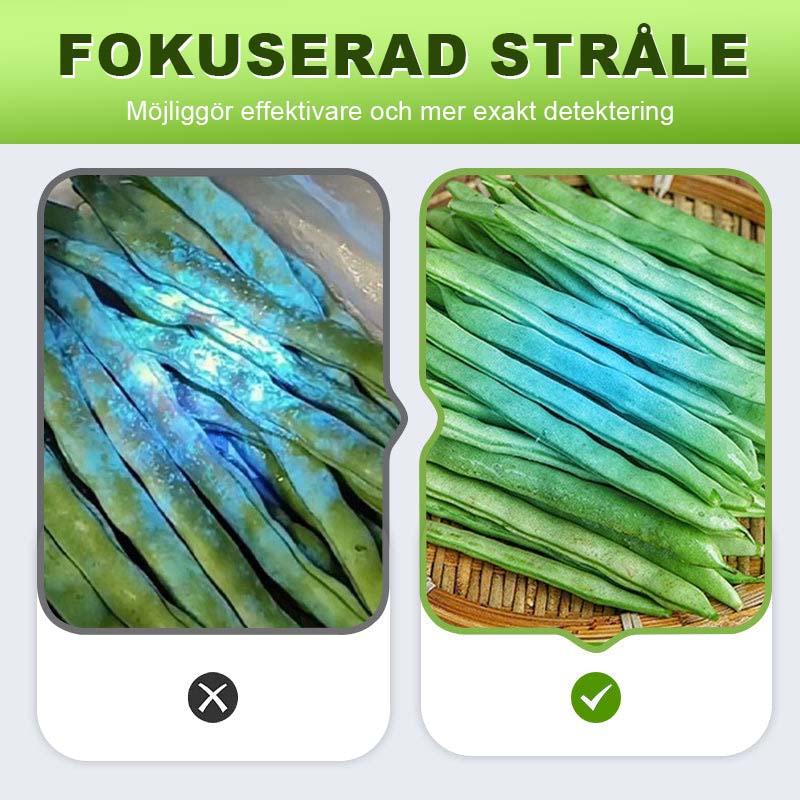 đĄUV-Ljusdetekterande Ficklampađ