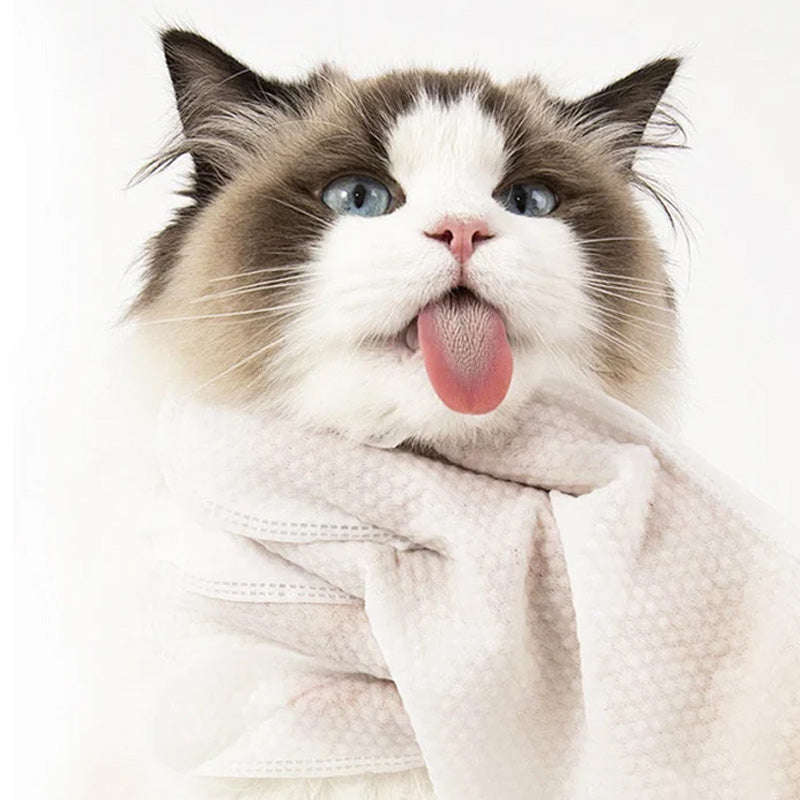 🐱🐶No Rinse Mild rengöringshandskar för husdjur