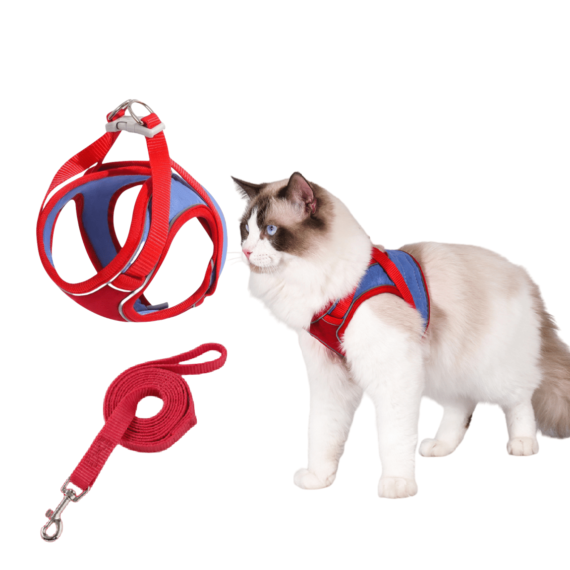 Katt sele och koppel